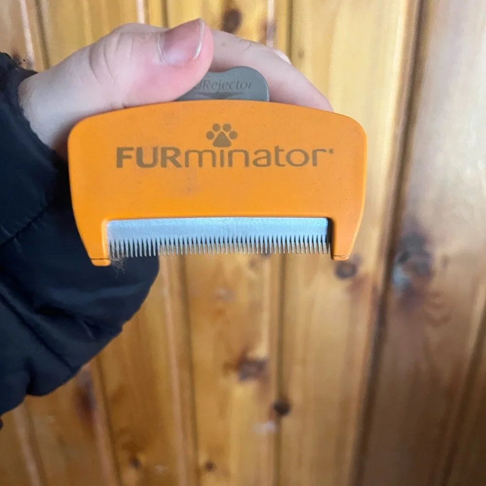 N/A dog brush